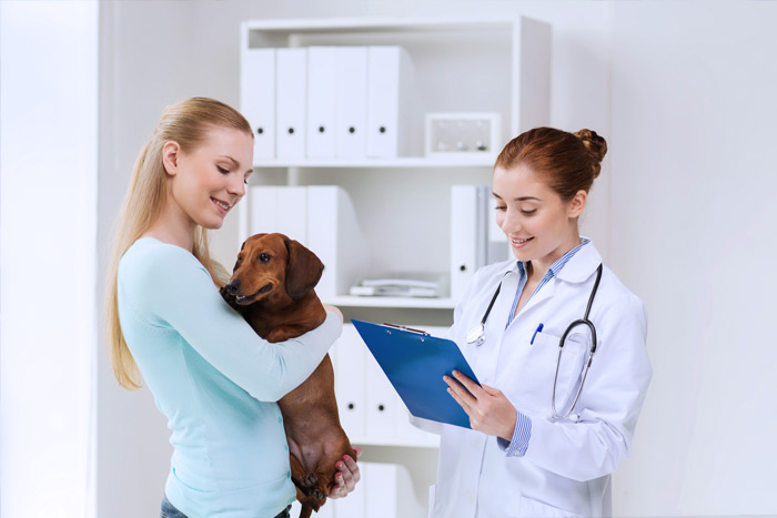 ЭЦП для оформления ветеринарных сертификатов (ГИС Меркурий) в Россоши